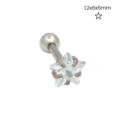 Piercing do ucha 24262501