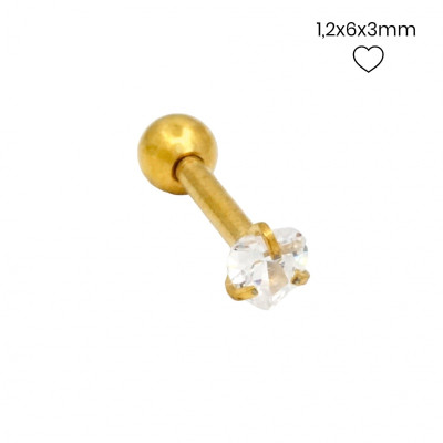 Piercing do ucha 24261902