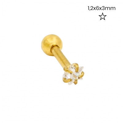 Piercing do ucha 24262302