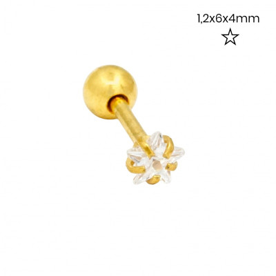 Piercing do ucha 24262402