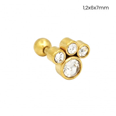 Piercing do ucha 24258602
