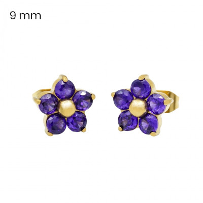 Náušnice EXEED 24521102