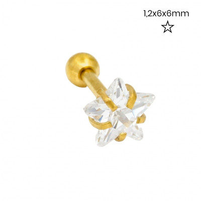 Piercing do ucha 24262602