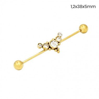 Piercing do ucha 24256702
