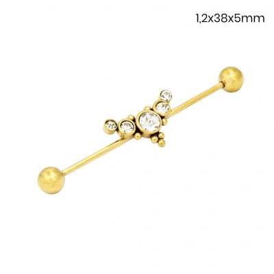 Piercing do ucha 24256702
