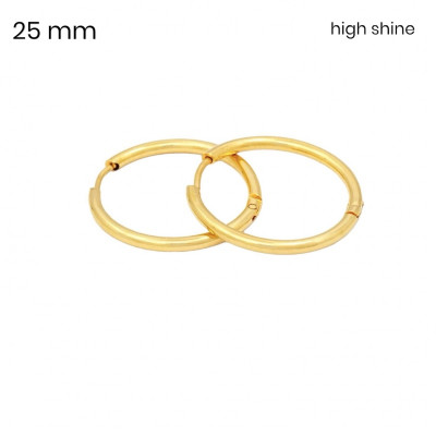 Náušnice EXEED 24509325