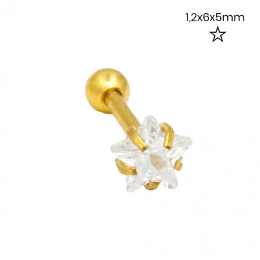 Piercing do ucha 24262502