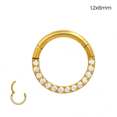 Piercing do nosu 24264902